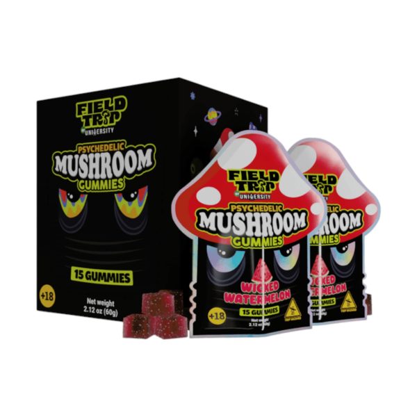 University | Field Trip | Magic Mushroom Gummies 4G per Piece | 15CT