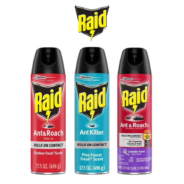 Raid | Ant Killer Spray 17.5oz